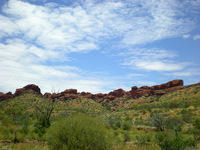 DSCN1864