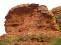 DSCN1877