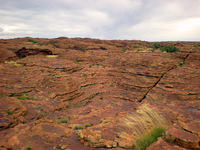 DSCN1919