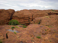 DSCN1920