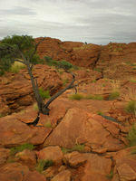 DSCN1931