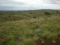 DSCN1962