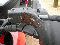 Bird Strike