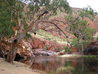 DSCN1977