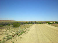 DSCN2009