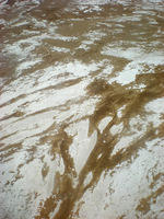 DSCN2044