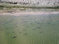 DSCN2076