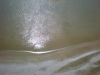 DSCN2078
