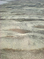 DSCN2082