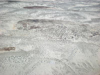 DSCN2083