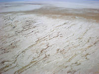 DSCN2087