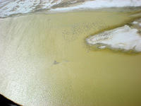 DSCN2091