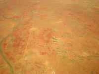 DSCN2110