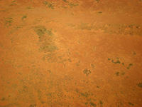 DSCN2113