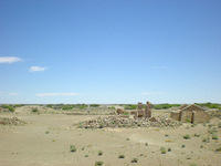 DSCN2121