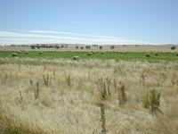 DSCN2211