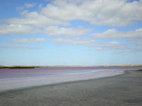 Lake Albert