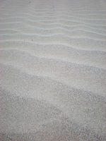 DSCN2221