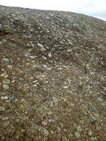 DSCN2227