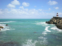 DSCN2236