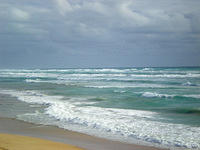 The Southern Ocean