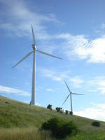 DSCN2252