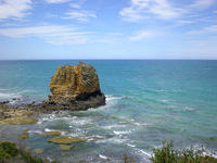 DSCN2324