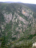 DSCN2372