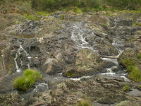 DSCN2375