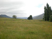 DSCN2426