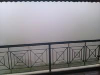 Pea Soup - Not good for riding