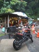 Lata Iskandar Waterfall - Cameron Highlands