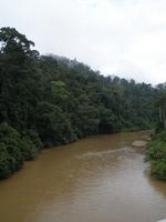 Taman Negara