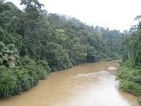Taman Negara