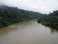 Taman Negara