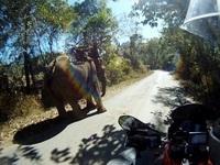 GOpro013