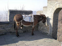 DSCN0404.JPG