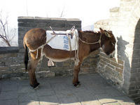 DSCN0405.JPG