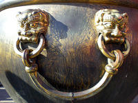 DSCN0503.JPG