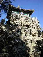 DSCN0517.JPG