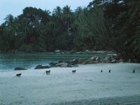 DSCN0249