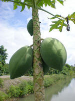 DSCN0253