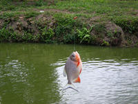 DSCN0258