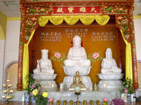 DSCN0262