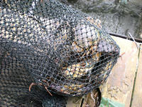 DSCN0276