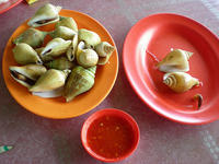DSCN0278