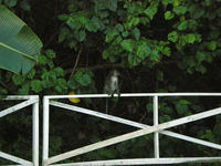 DSCN0279