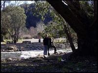 RIMG0098.jpg
