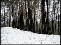 RIMG0128.jpg