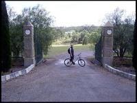 RIMG0188_161004.jpg
